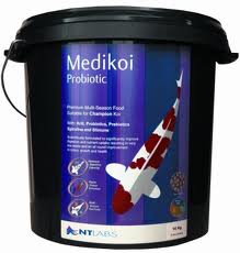 Medikoi - Probiotic